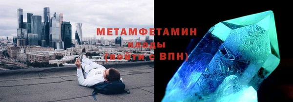 сатива Ельня