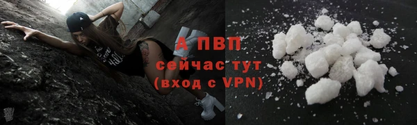 сатива Ельня
