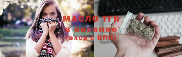 сатива Ельня