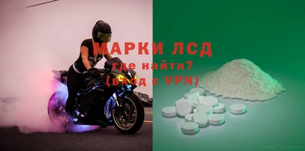 стаф Елизово