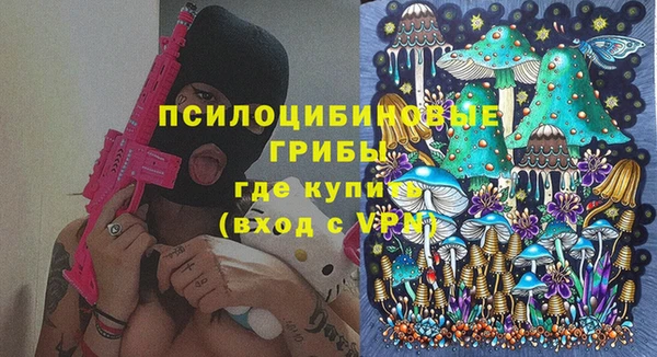 не бодяженный Заводоуковск