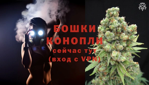 сатива Ельня