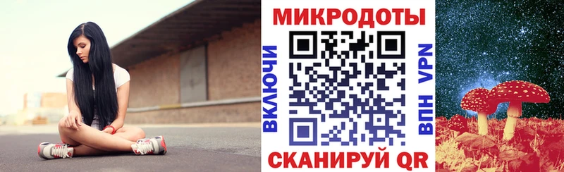 где продают   Карасук  Галлюциногенные грибы Psilocybe 